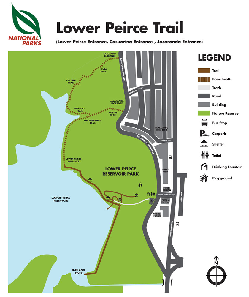 Lower Piece Trail